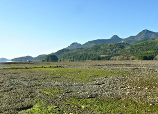 Photo 7: File#1411123 Kendrick Inlet in Nootka Island: Isl Small Islands (North Island Area) Business for sale (Islands)  : MLS®# 896150