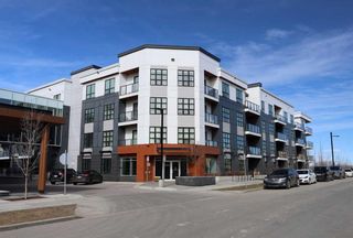 Main Photo: 210 383 Smith Street NW in Calgary: University District Apartment for sale : MLS®# A2120296