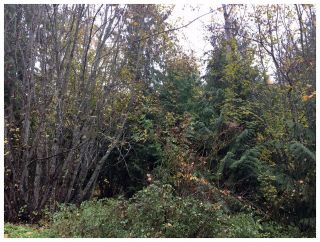 Photo 8: 1546 Blind Bay Road in Blind Bay: Vacant Land for sale : MLS®# 10125568