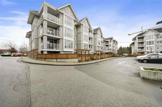Photo 26: 410 3136 ST JOHNS Street in Port Moody: Port Moody Centre Condo for sale in "Sonrisa" : MLS®# R2529834