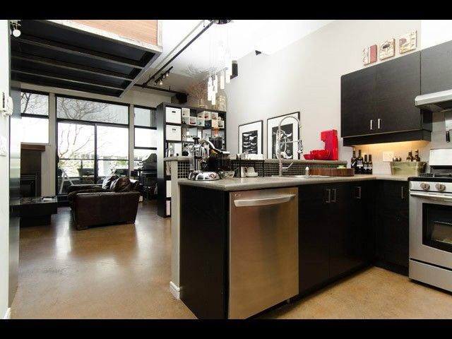 Main Photo: # 204 428 W 8TH AV in Vancouver: Mount Pleasant VW Condo for sale (Vancouver West)  : MLS®# V1116442