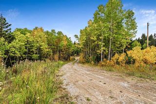 Photo 4: 64 Hawk's Landing Drive: Rural Foothills County Residential Land for sale : MLS®# A2079106