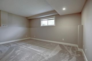 Photo 25: 7 Erin Park Close SE in Calgary: Erin Woods Detached for sale : MLS®# A1225142