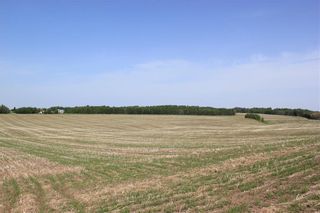 Photo 15: 1262 Township 391: Rural Red Deer County Detached for sale : MLS®# C4192272