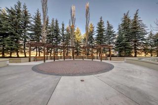 Photo 31: 505 1108 6 Avenue SW in Calgary: Downtown West End Apartment for sale : MLS®# A2125162