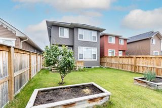 Photo 34: 229 Evanspark Gardens NW in Calgary: Evanston Detached for sale : MLS®# A2119602