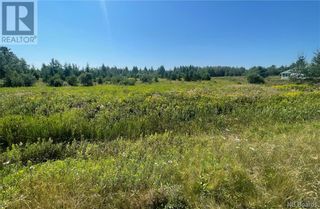 Photo 5: 190 Route 170 in Dufferin: Vacant Land for sale : MLS®# NB084430