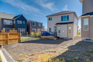 Photo 43: 689 Nolan Hill Boulevard NW in Calgary: Nolan Hill Detached for sale : MLS®# A1226864