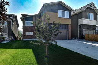 Photo 1: 14 Sage Meadows Park NW in Calgary: Sage Hill Detached for sale : MLS®# A2069340