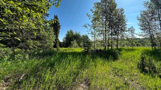 Photo 43: 33227 Range Road 52 (River Road): Rural Mountain View County Residential Land for sale : MLS®# A2054327