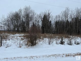 Photo 35: 61124 Rg Rd 222: Rural Thorhild County House for sale : MLS®# E4372780