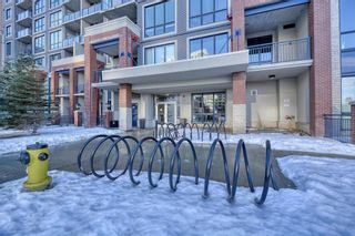 Photo 40: 1013 8880 Horton Road SW in Calgary: Haysboro Apartment for sale : MLS®# A1171744