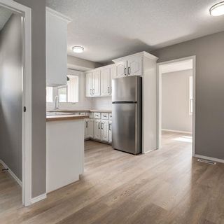 Photo 18: 56 Rundlefield Close NE in Calgary: Rundle Detached for sale : MLS®# A2052186