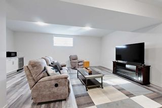 Photo 20: 36 Thorkman Avenue: Red Deer Detached for sale : MLS®# A2110385