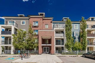 Main Photo: 2117 99 Copperstone Park SE in Calgary: Copperfield Apartment for sale : MLS®# A2139798