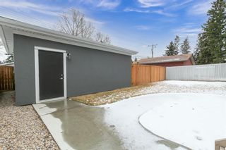 Photo 43: 2520 26 Street SE in Calgary: Southview Detached for sale : MLS®# A2015487