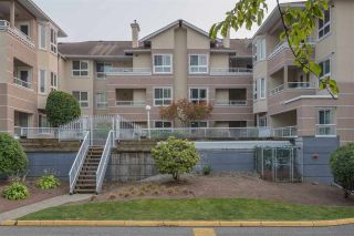 Photo 23: 407 19721 64 Avenue in Langley: Willoughby Heights Condo for sale : MLS®# R2538213