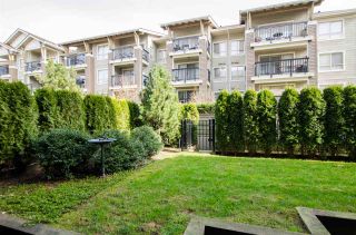 Photo 14: A107 8929 202 Street in Langley: Walnut Grove Condo for sale in "The "Grove"" : MLS®# R2142783