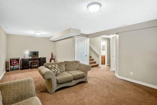 Photo 26: 101 Elgin Meadows Circle SE in Calgary: McKenzie Towne Detached for sale : MLS®# A2121708