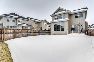 Photo 28: 8 AUBURN SPRINGS Manor SE in Calgary: Auburn Bay House for sale : MLS®# C4174101