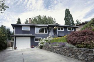 Photo 1: 923 PLYMOUTH Drive in North Vancouver: Windsor Park NV House for sale : MLS®# R2252737