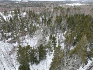 Photo 3: Lot 03-1 Old Alma Road in Pleasant Valley: 108-Rural Pictou County Vacant Land for sale (Northern Region)  : MLS®# 202303652