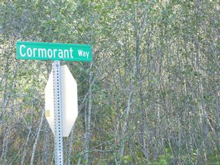 Photo 53: 3608 Cormorant Way in Sooke: Sk Jordan River Land for sale : MLS®# 889377
