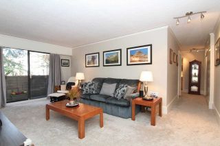 Photo 5: 23 2444 WILSON Avenue in Port Coquitlam: Central Pt Coquitlam Condo for sale in "ORCHARD" : MLS®# R2247251