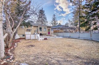 Photo 44: 4614 70 Street in Calgary: Bowness Detached for sale : MLS®# A1193841