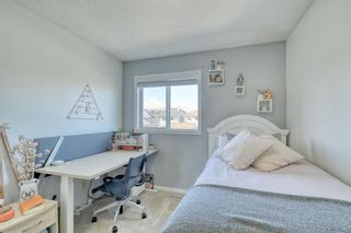 Photo 31: 455 Prestwick Circle SE in Calgary: McKenzie Towne Detached for sale : MLS®# A1104583
