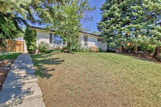 Photo 44: 3708 Logan Crescent SW in Calgary: Lakeview Detached for sale : MLS®# A2070169