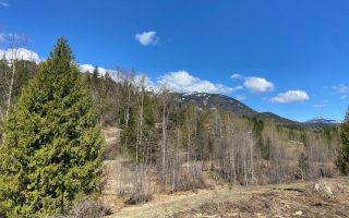 Photo 8: 201 JOLIFFE WAY in Rossland: Vacant Land for sale : MLS®# 2475917