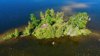 Photo 9: Lt 1 Canal Lake in Kawartha Lakes: Rural Carden Property for sale : MLS®# X5635905