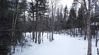 Photo 6: 111 Blue Jay Way in Vaughan: Hants County Vacant Land for sale (Annapolis Valley)  : MLS®# 202402630