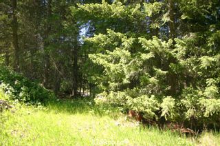 Photo 31: 4827 Goodwin Road in Eagle Bay: Land Only for sale : MLS®# 10116745