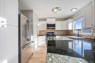 Photo 12: 1541 Big Springs Way SE: Airdrie Detached for sale : MLS®# A2090779