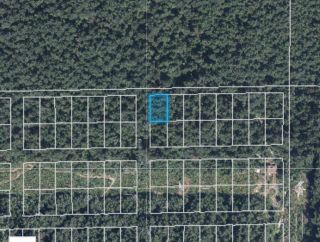 Photo 1: LOT 1 INDIAN RIVER DRIVE in North Vancouver: Indian River Land for sale in "Woodlands" : MLS®# R2856540