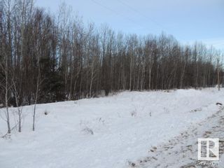 Photo 4: 39 54113 RGE RD 13: Rural Parkland County Rural Land/Vacant Lot for sale : MLS®# E4297451