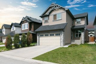 Main Photo: 60 Skyview Shores Rise NE in Calgary: Skyview Ranch Detached for sale : MLS®# A1218763