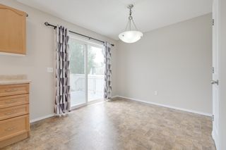 Photo 12: 20239 - 56 Avenue in Edmonton: Hamptons House Half Duplex for sale : MLS®# E4165567