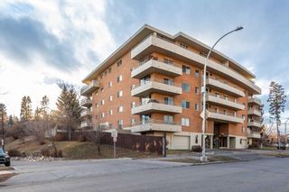 Photo 27: 202 629 Royal Avenue SW in Calgary: Upper Mount Royal Apartment for sale : MLS®# A2096302