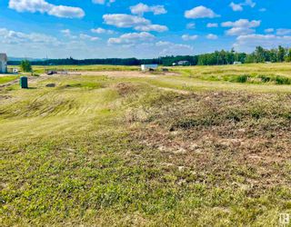 Photo 6: 100 454072 RGE RD 11: Rural Wetaskiwin County Vacant Lot/Land for sale : MLS®# E4318086
