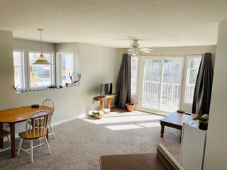 Photo 6: 203 608 19 Street SE: High River Apartment for sale : MLS®# A1200224