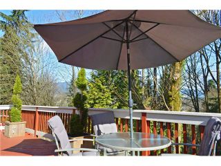 Photo 15: 1079 DOLPHIN Street in Coquitlam: Ranch Park House for sale in "RANCH PARK" : MLS®# V1108389