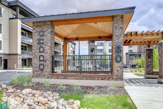 Photo 37: 1302 80 Greenbriar Place NW in Calgary: Greenwood/Greenbriar Apartment for sale : MLS®# A2020944