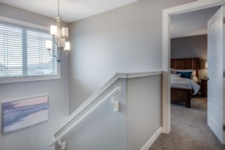 Photo 23: 132 Red Ash Cove Cove: Springbrook Detached for sale : MLS®# A1201962