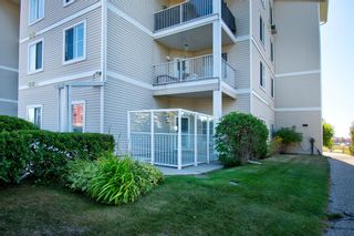 Photo 7: 110 305 1 Avenue NW: Airdrie Apartment for sale : MLS®# A1255700
