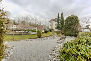 Photo 19: 109 11578 225 Street in Maple Ridge: East Central Condo for sale in "THE WILLOWS" : MLS®# R2138956
