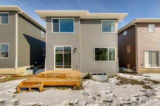 Photo 48: 847 Bayview Terrace SW: Airdrie Detached for sale : MLS®# A2119331