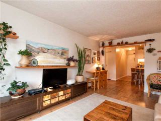 Photo 5: 102 225 W 3RD Street in North Vancouver: Lower Lonsdale Condo for sale : MLS®# V976777